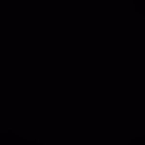 Meet your Posher, Suann